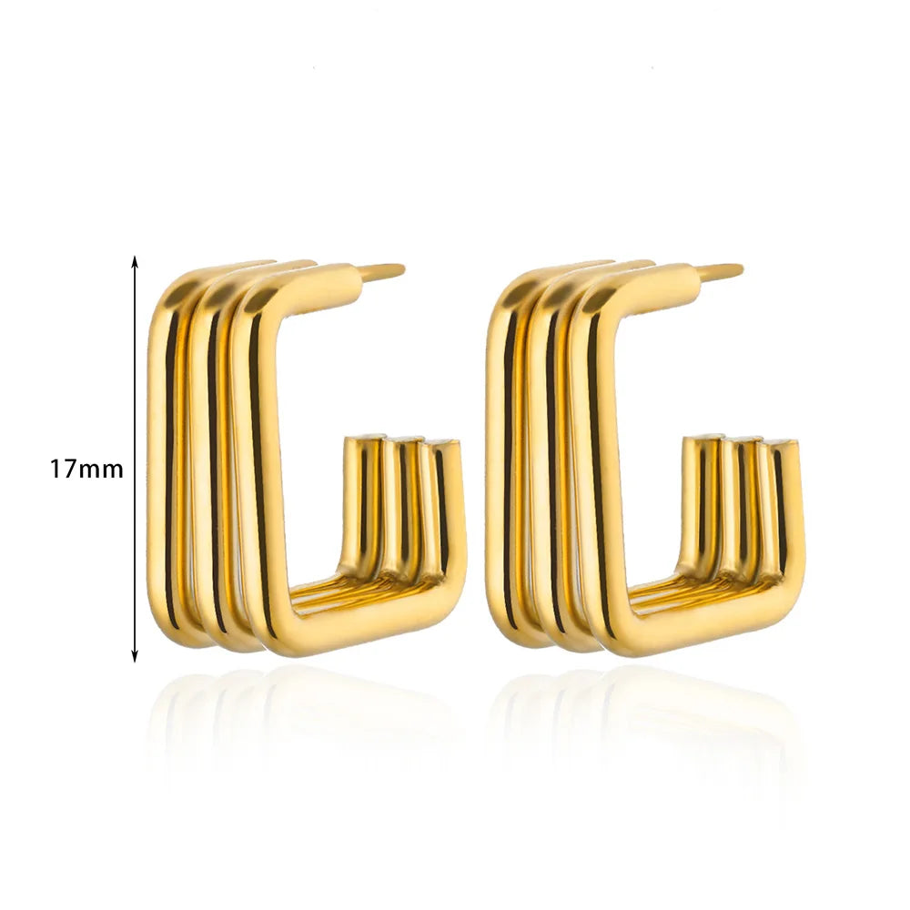 Pendientes Gruesos